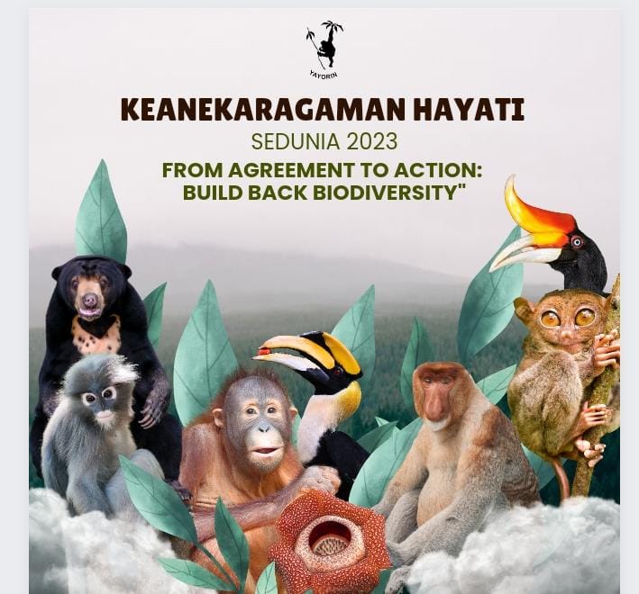 Hari Keanekaragaman Hayati, "From Agreement to Action: Build Back Biodiversity"