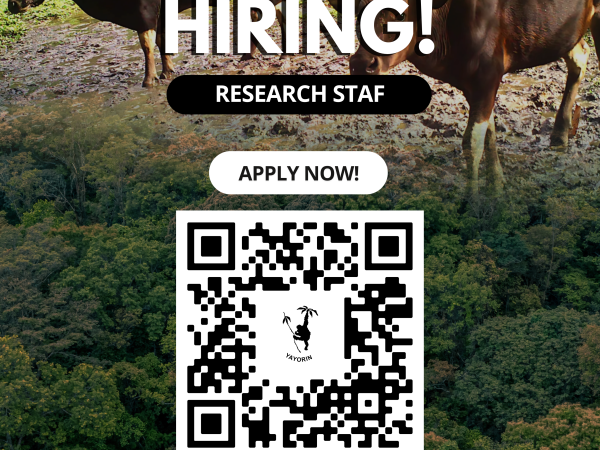 𝐋𝐨𝐰𝐨𝐧𝐠𝐚𝐧 𝐩𝐞𝐤𝐞𝐫𝐣𝐚𝐚𝐧 𝐬𝐭𝐚𝐟 𝐩𝐞𝐧𝐞𝐥𝐢𝐭𝐢 𝐘𝐚𝐲𝐨𝐫𝐢𝐧 𝟐𝟎𝟐𝟔