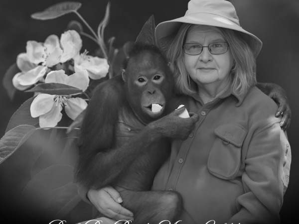 𝐑𝐄𝐒𝐓 𝐈𝐍 𝐏𝐄𝐀𝐂𝐄