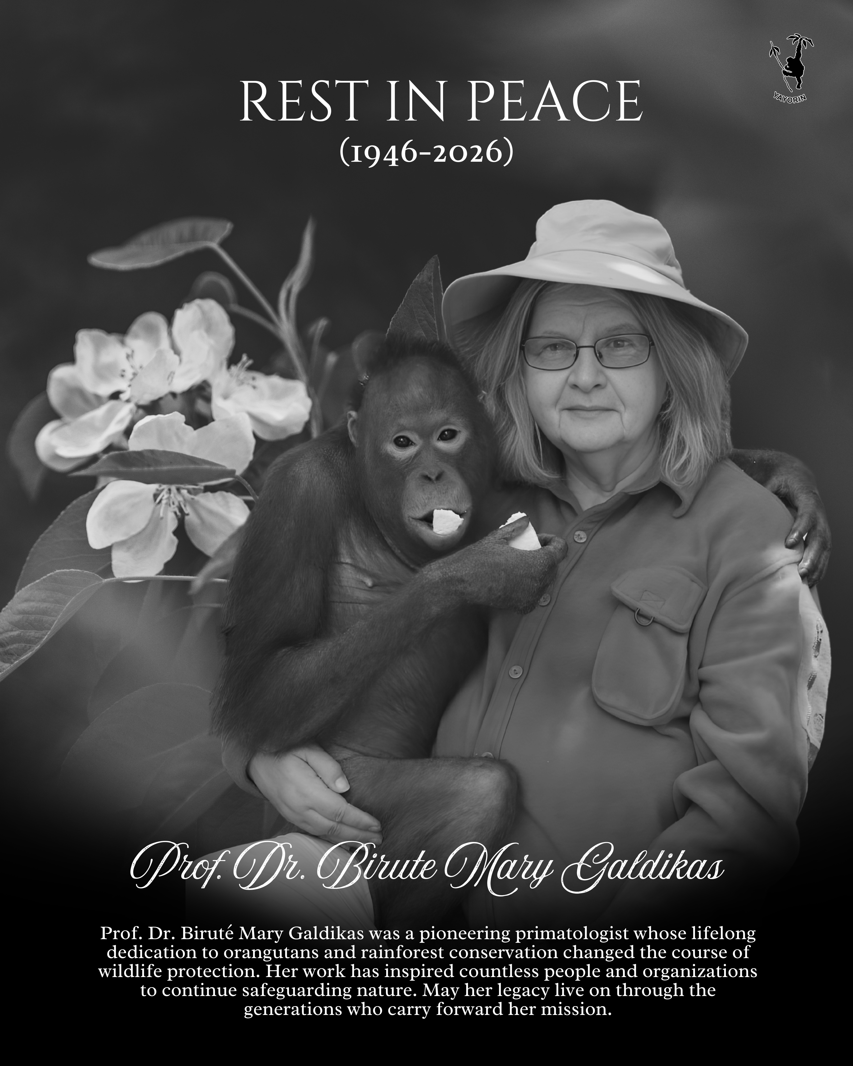 𝐑𝐄𝐒𝐓 𝐈𝐍 𝐏𝐄𝐀𝐂𝐄